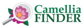 Camellia finder button